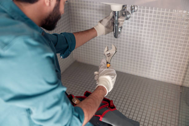 Best Plumbing System Maintenance  in Ravenna, MI